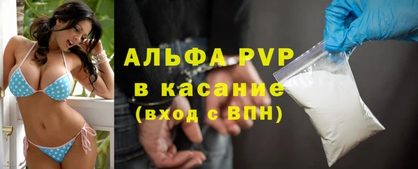 хмурый Нея