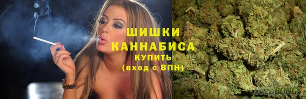 гидра Костерёво