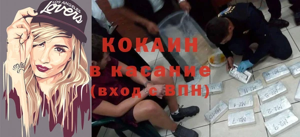 хмурый Нея