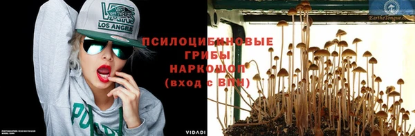 дмт Аркадак